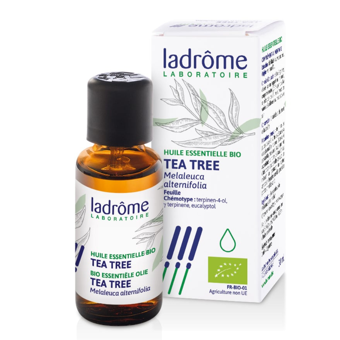 LADROME HUILE ESSENTIELLE BIO TEA TREE