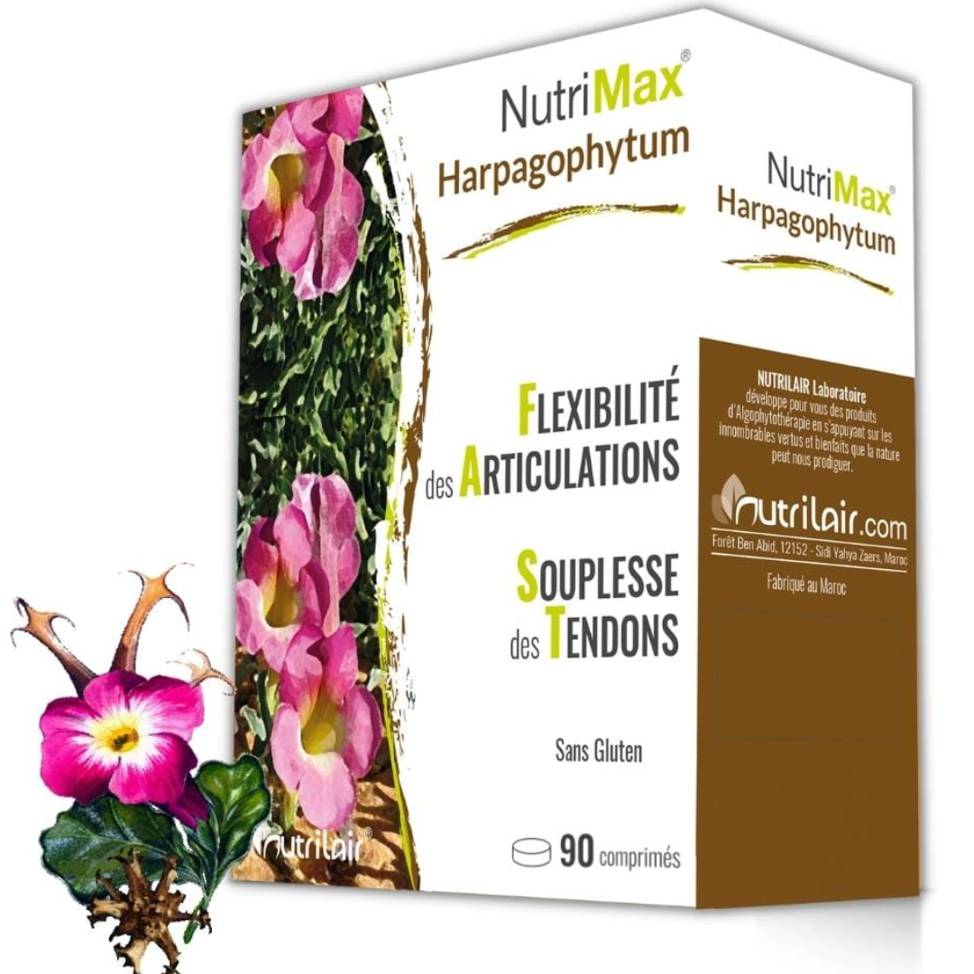 NUTRIMAX HARPAGOPHYTUM 90 COMPRIMES